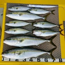 火遠理丸(ほおりまる) 釣果