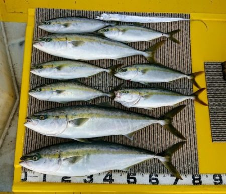 火遠理丸(ほおりまる) 釣果