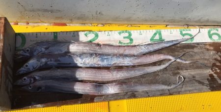 火遠理丸(ほおりまる) 釣果