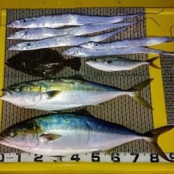 火遠理丸(ほおりまる) 釣果