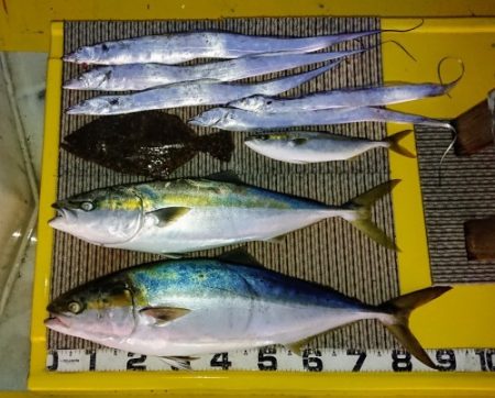 火遠理丸(ほおりまる) 釣果