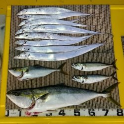 火遠理丸(ほおりまる) 釣果