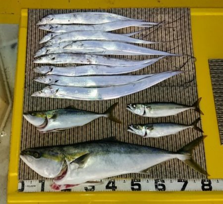 火遠理丸(ほおりまる) 釣果