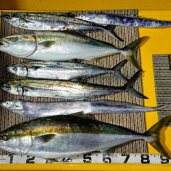 火遠理丸(ほおりまる) 釣果