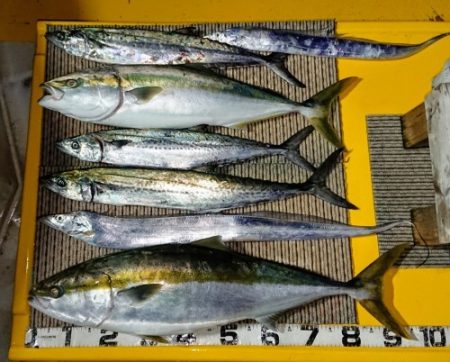 火遠理丸（ほおりまる） 釣果