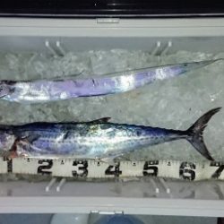 火遠理丸(ほおりまる) 釣果