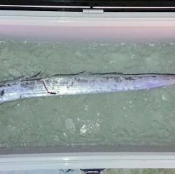 火遠理丸(ほおりまる) 釣果