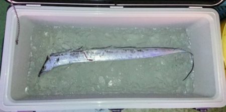 火遠理丸(ほおりまる) 釣果