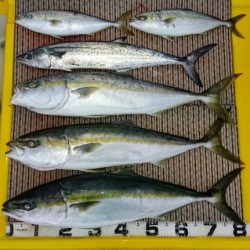 火遠理丸(ほおりまる) 釣果