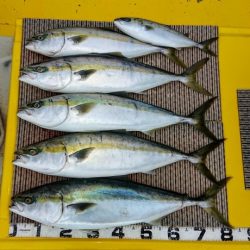 火遠理丸(ほおりまる) 釣果