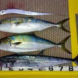 火遠理丸(ほおりまる) 釣果