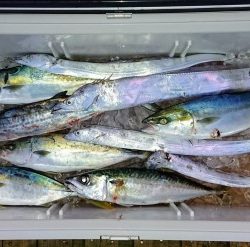 火遠理丸(ほおりまる) 釣果