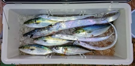 火遠理丸(ほおりまる) 釣果