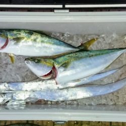 火遠理丸(ほおりまる) 釣果