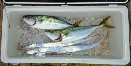 火遠理丸(ほおりまる) 釣果