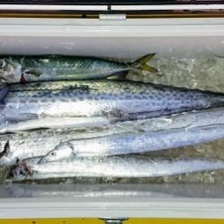 火遠理丸(ほおりまる) 釣果