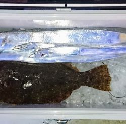 火遠理丸(ほおりまる) 釣果