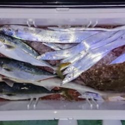 火遠理丸(ほおりまる) 釣果