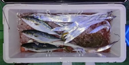 火遠理丸(ほおりまる) 釣果