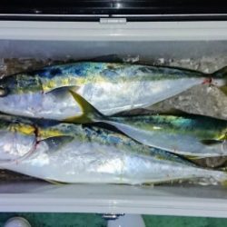 火遠理丸(ほおりまる) 釣果