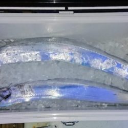 火遠理丸(ほおりまる) 釣果