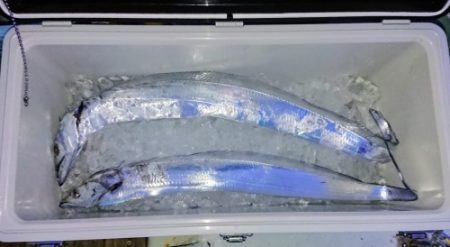 火遠理丸（ほおりまる） 釣果