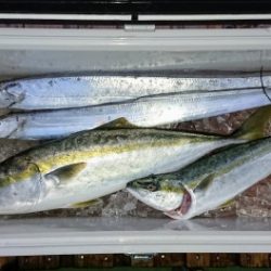 火遠理丸(ほおりまる) 釣果