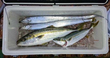 火遠理丸（ほおりまる） 釣果