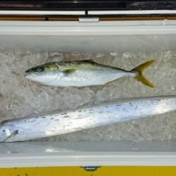 火遠理丸(ほおりまる) 釣果