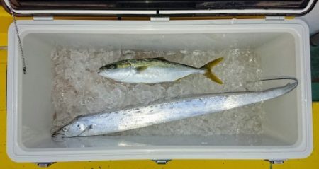 火遠理丸(ほおりまる) 釣果