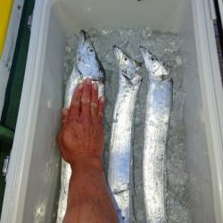 火遠理丸(ほおりまる) 釣果