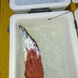 火遠理丸(ほおりまる) 釣果