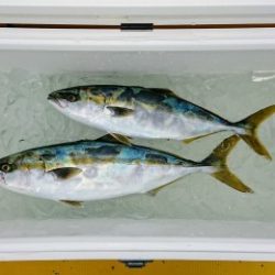 火遠理丸(ほおりまる) 釣果