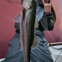 TOPGUN名古屋 釣果