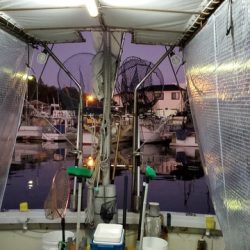 遊漁船 ニライカナイ 釣果