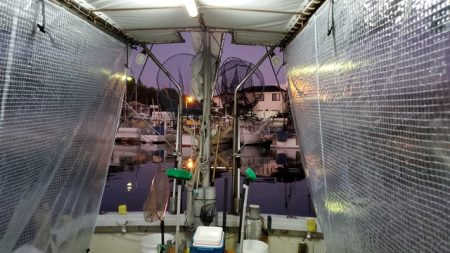 遊漁船 ニライカナイ 釣果