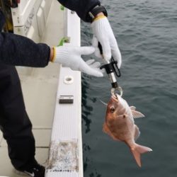 遊漁船 ニライカナイ 釣果