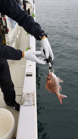 遊漁船 ニライカナイ 釣果