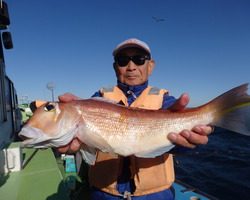 久里浜黒川本家 釣果