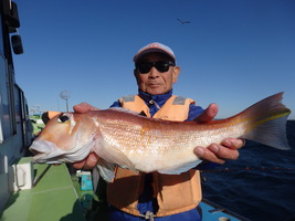 久里浜黒川本家 釣果