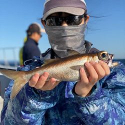 へいみつ丸 釣果