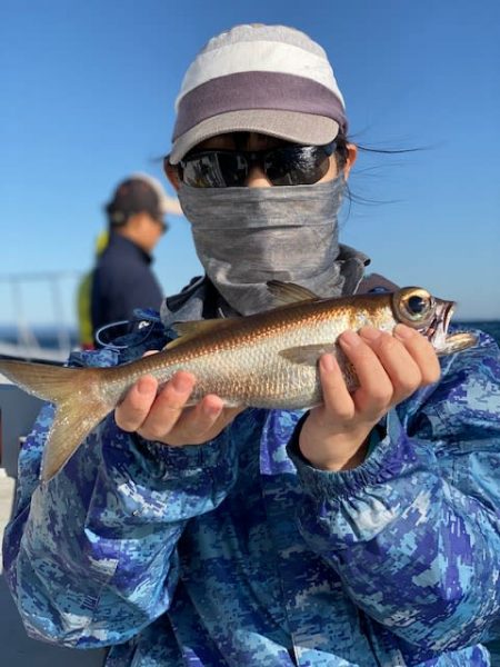 へいみつ丸 釣果