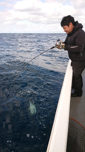 IDATEN(イダテン) 釣果