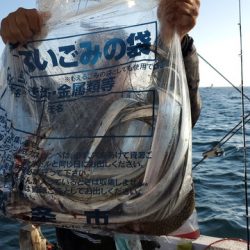 遊漁船 ニライカナイ 釣果