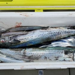 遊漁船 ニライカナイ 釣果