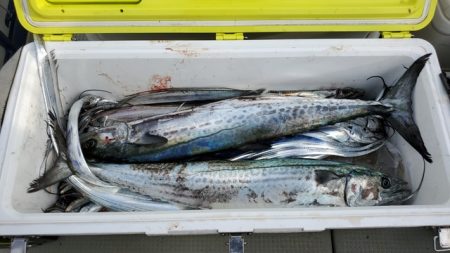 遊漁船 ニライカナイ 釣果