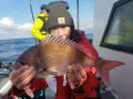 里輝丸 釣果