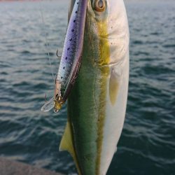 神戸沖堤防ONETEN SWレポート【メガバス（Megabass）ONETEN SWシリーズ　インプレッション】