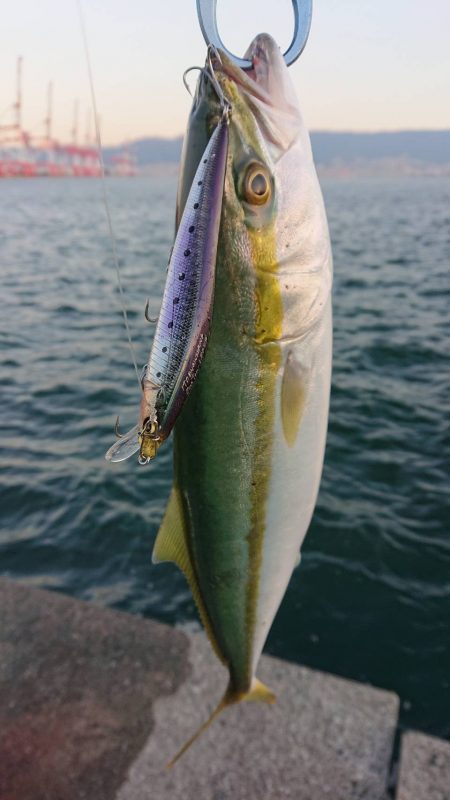 神戸沖堤防ONETEN SWレポート【メガバス（Megabass）ONETEN SWシリーズ　インプレッション】