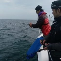 開進丸 釣果